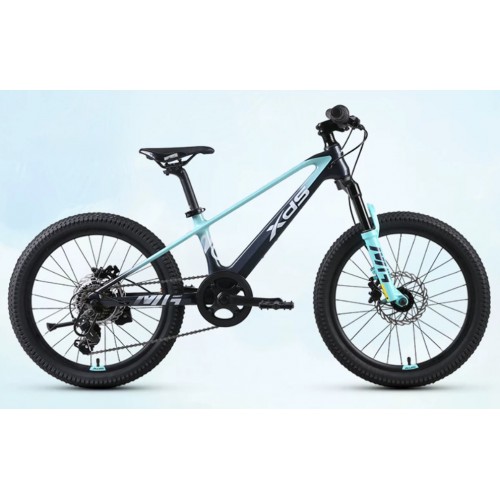 XDS 前避震鎂合金兒童20"山地車 
